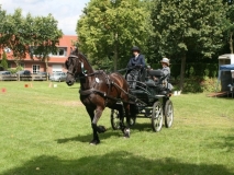 20140717_1413978671_fahrtunier_2014-0058