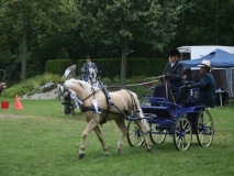 20140717_1487042305_fahrtunier_2014-0064