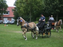 20140717_1569805425_fahrtunier_2014-0068