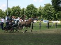 20140717_1594848795_fahrtunier_2014-0088