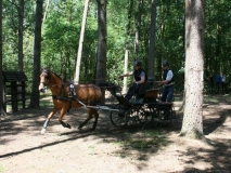 20140717_1618377208_fahrtunier_2014-0081