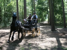 20140717_1674961522_fahrtunier_2014-0087