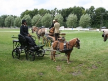 20140717_1691585541_fahrtunier_2014-0060