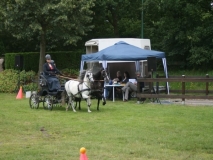 20140717_1716978223_fahrtunier_2014-0075