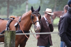fahrtunier_201511_20150627_1216924820