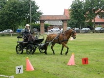 fahrtunier_20151_20150627_1403924068