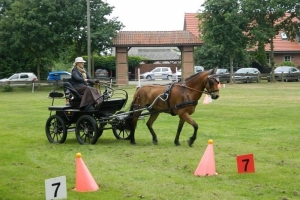 Fahrturnier 2015