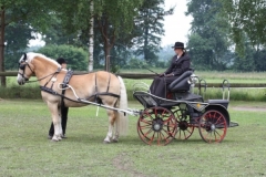 fahrtunier_201522_20150627_1496061574