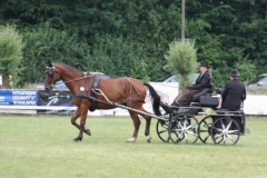 fahrtunier_201523_20150627_1725360791