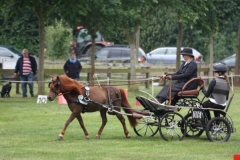 fahrtunier_201539_20150627_1978079316