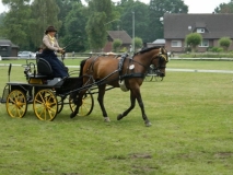 fahrtunier_20153_20150627_1095030426
