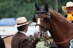 fahrtunier_201545_20150627_1041465979