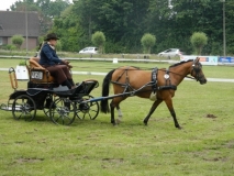 fahrtunier_20154_20150627_1077578684