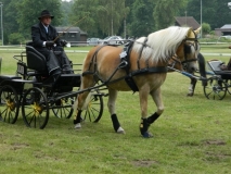 fahrtunier_20155_20150627_1789112924