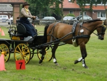 fahrtunier_20156_20150627_1026627045
