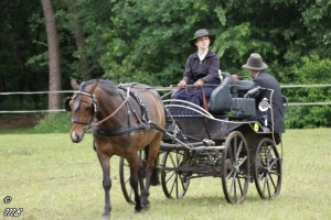 Fahrturnier 2016