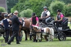 20180618_1084872692_fahrtunier_2018_mb_101