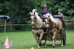 20180618_1100166030_fahrtunier_2018_mb_042