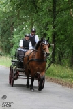 20180618_1163134338_fahrtunier_2018_mb_048