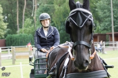 20180618_1353132812_fahrtunier_2018_mb_002