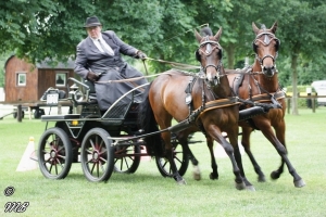 Fahrturnier 2018