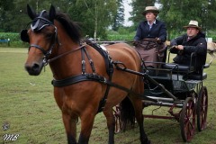 Fahrtunier-2019-MB-003
