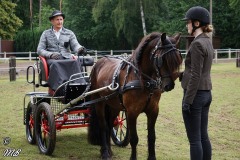 Fahrtunier-2019-MB-009