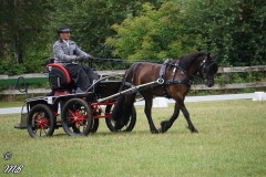 Fahrtunier-2019-MB-019