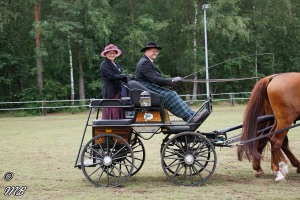 Fahrturnier 2019