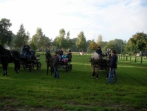 fuchsjagd_201313_20131013_1862536931