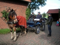 fuchsjagd_201323_20131013_1835928519