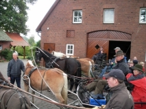 fuchsjagd_201335_20131013_1720447585