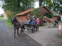 fuchsjagd_201337_20131013_1102792339