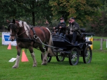 fuchsjagd_201349_20131013_1767577451