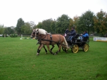 fuchsjagd_201350_20131013_1333383828