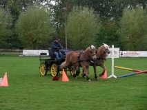 fuchsjagd_201351_20131013_1709400325