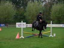 fuchsjagd_201352_20131013_1081694506