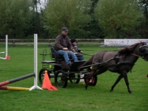 fuchsjagd_201353_20131013_2065749468