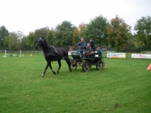 fuchsjagd_201355_20131013_1488178837