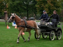 fuchsjagd_201356_20131013_1075550098