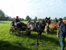 fuchsjagd_201413_20141017_1985710261