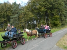fuchsjagd_201414_20141017_1510499361