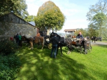 fuchsjagd_201415_20141017_1715412091