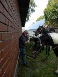 fuchsjagd_201419_20141017_2076148643