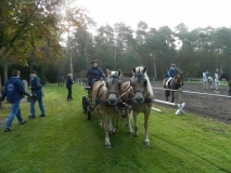 fuchsjagd_20141_20141017_1021946628