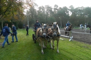 Fuchsjagd 2014