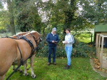 fuchsjagd_201420_20141017_1974060786