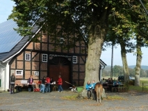 fuchsjagd_201421_20141017_1062085374