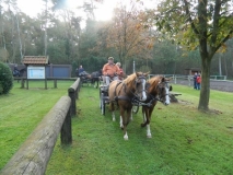 fuchsjagd_20142_20141017_1781552745
