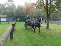 fuchsjagd_20143_20141017_1080064584